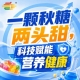 金陵金秋，第115届秋季糖酒会，食饮新里程，稳步前行